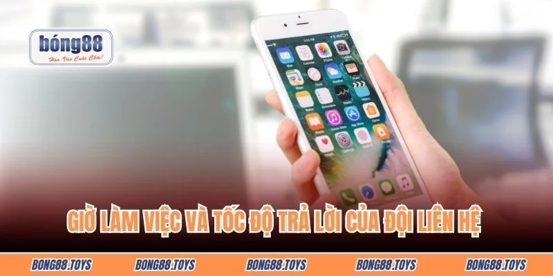 Giờ làm việc và tốc độ trả lời của đội liên hệ 