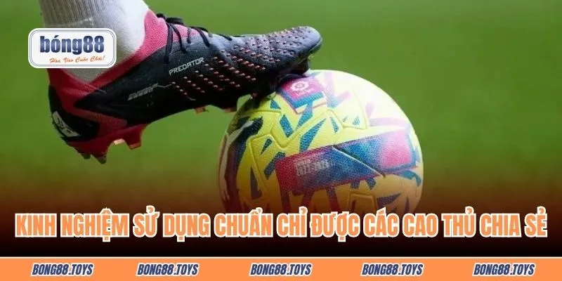 Kinh nghiệm sử dụng chuẩn chỉ nhất được các cao thủ chia sẻ