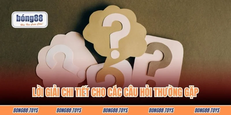Lời giải chi tiết cho các câu hỏi thường gặp