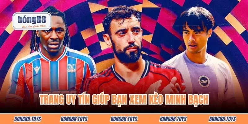 Trang uy tín giúp bạn xem kèo minh bạch